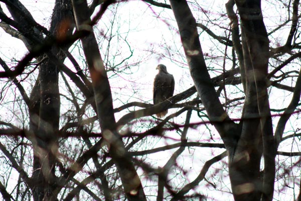 Killikus&reg; Fotographie